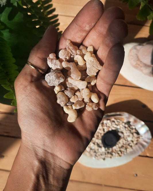 Invest in our Frankincense Incense Resin in Lebanon at Sacred