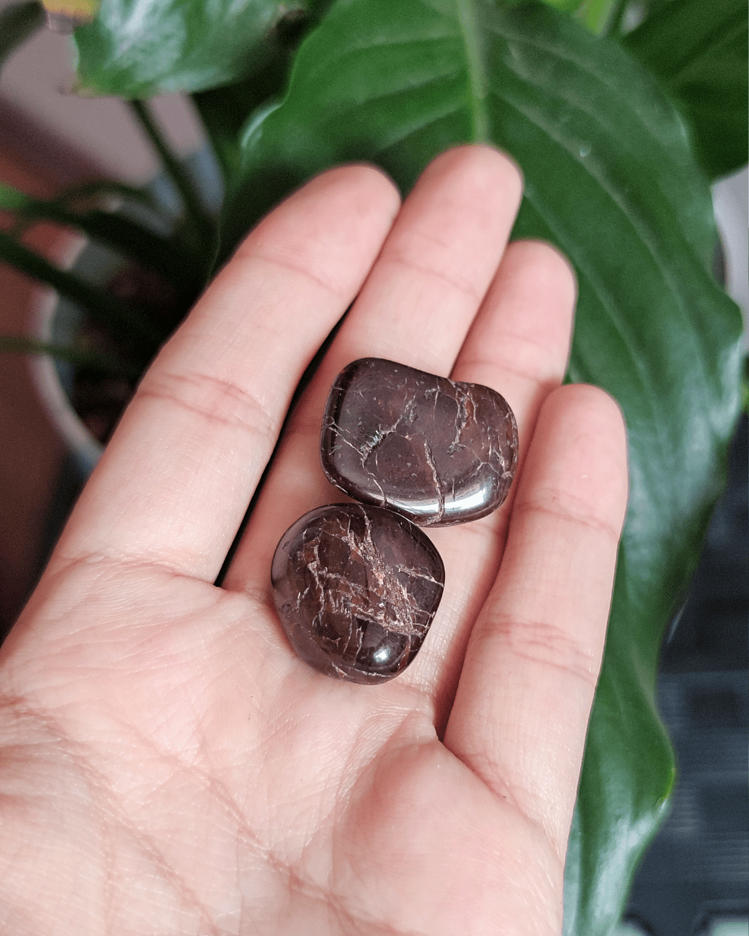 Garnet • The Stone of Passion & Strength in Lebanon at Sacred