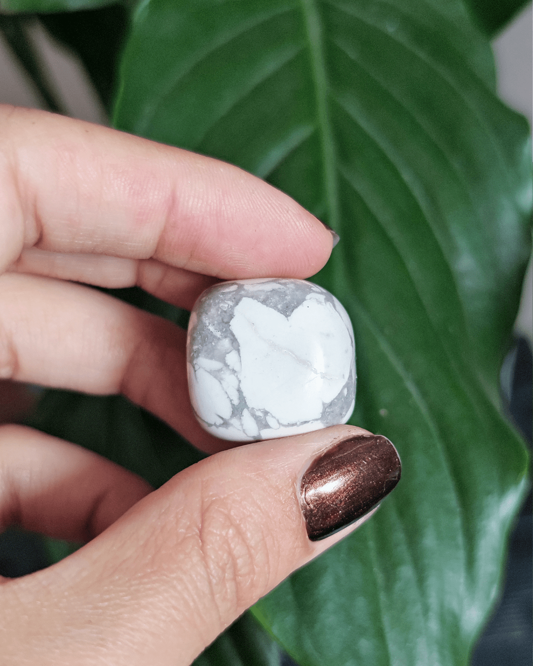 Howlite • The Stone of Serenity & Higher Wisdom in Lebanon at Sacred