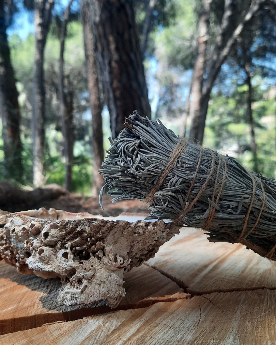 Invest in our Lavender Smudge in Lebanon at Sacred