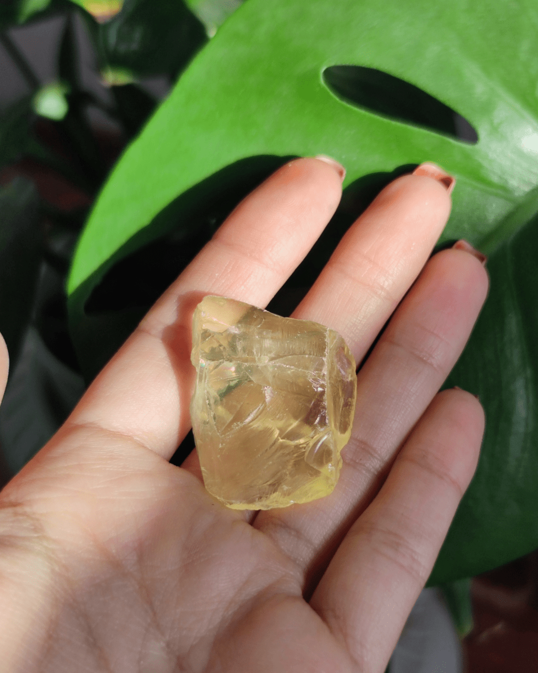 Invest in our Lemon Quartz Crystal from our genuine Crystal Collection in Lebanon at Sacred!