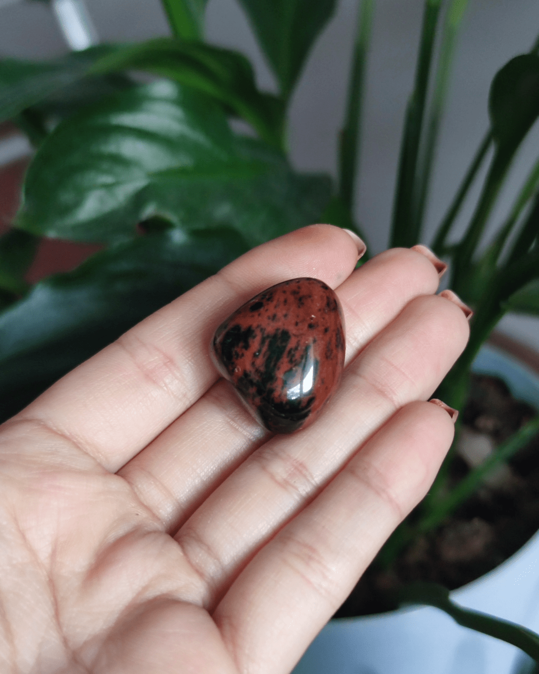 Invest in our Mahogany Obsidian Crystal from our genuine Crystal Collection in Lebanon at Sacred!