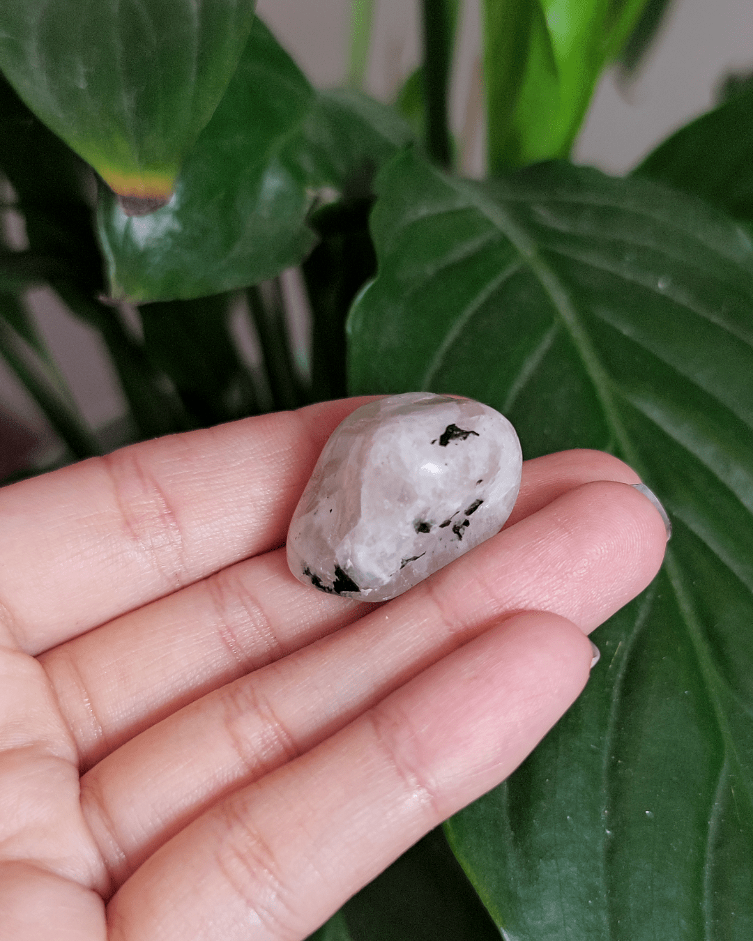 Moonstone • The Stone of Divine Feminine Energy in Lebanon at Sacred