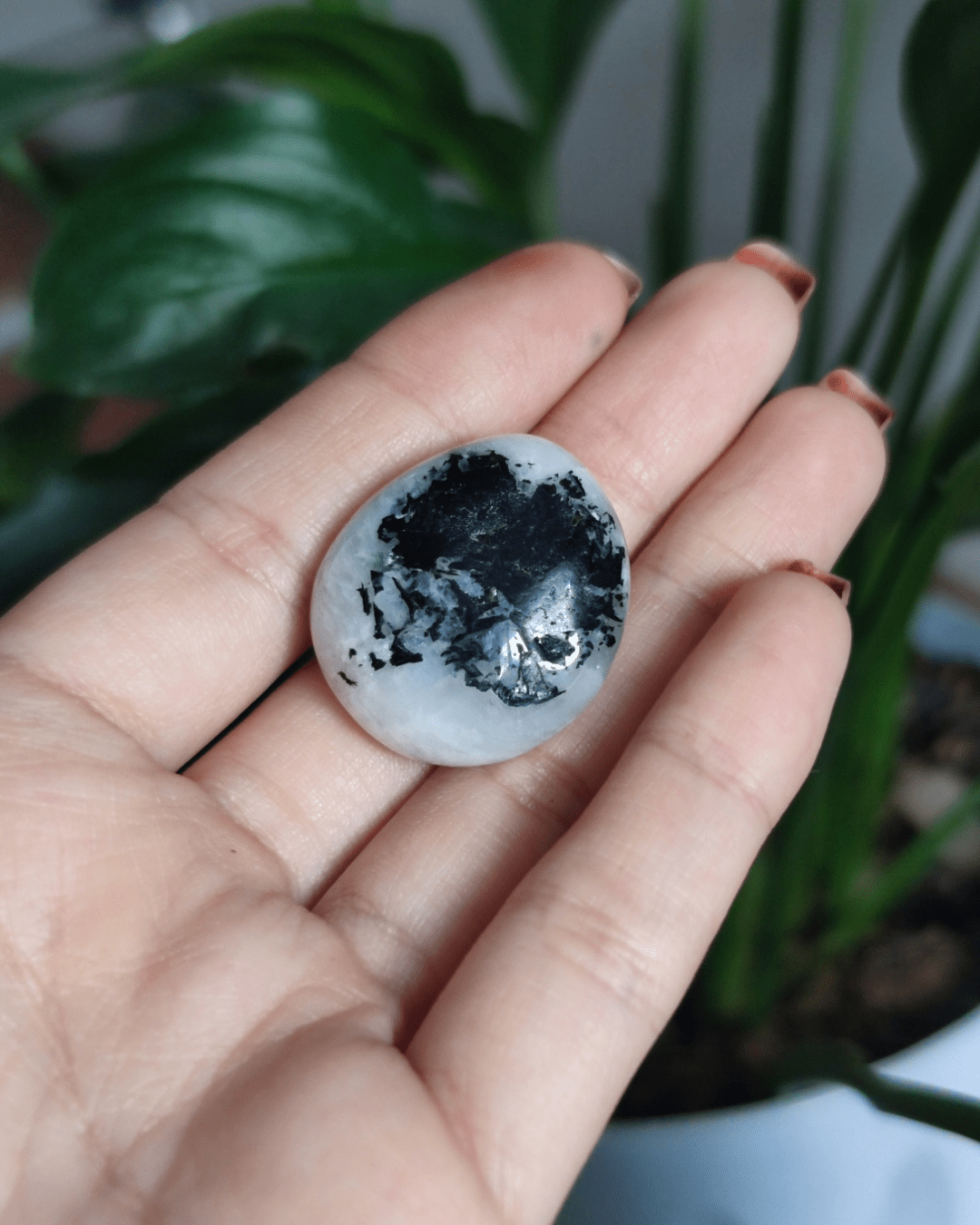 Invest in our Moonstone Crystal • The Stone of Divine Feminine Energy from our genuine Crystal Collection in Lebanon at Sacred!