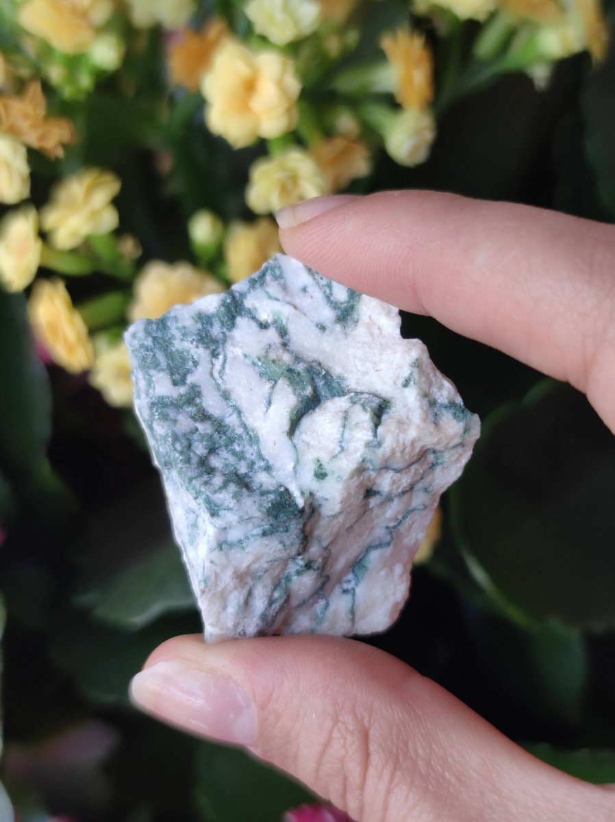 Invest in our Moss Agate in Lebanon at Sacred