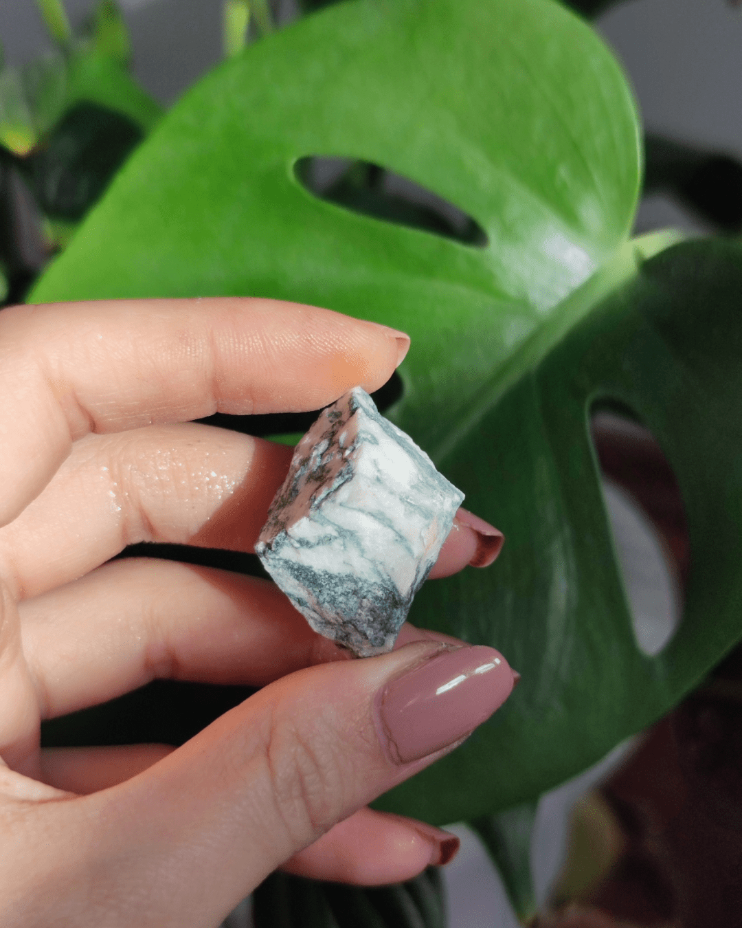 Moss Agate • The Stone of Growth in Lebanon at Sacred
