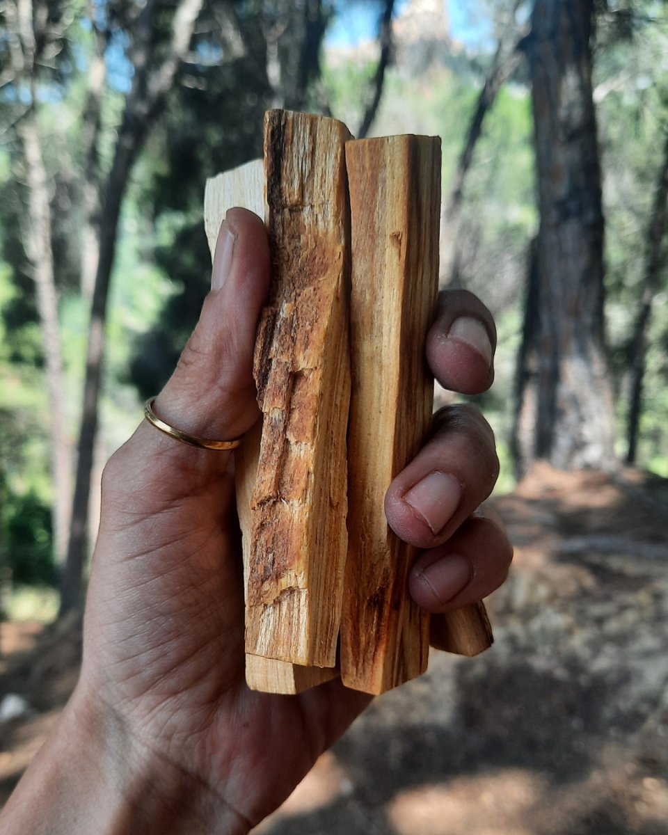 Invest in our Palo Santo in Lebanon at Sacred