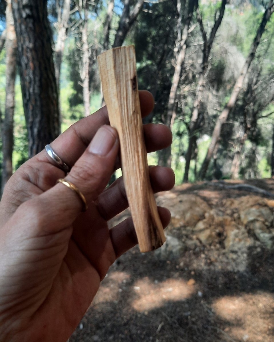 Invest in our Palo Santo in Lebanon at Sacred