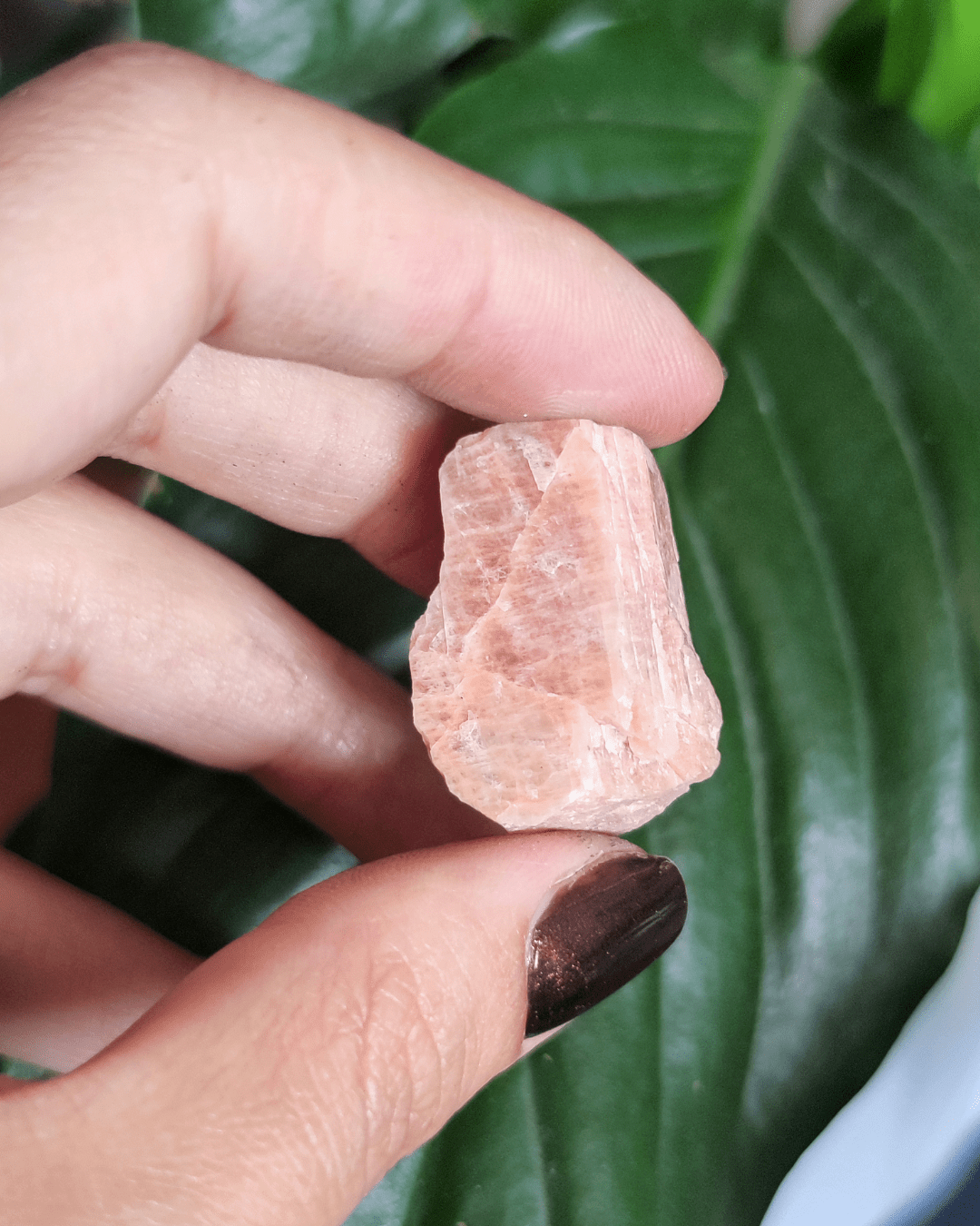 Invest in our Peach Moonstone from our genuine Crystal Collection in Lebanon at Sacred!