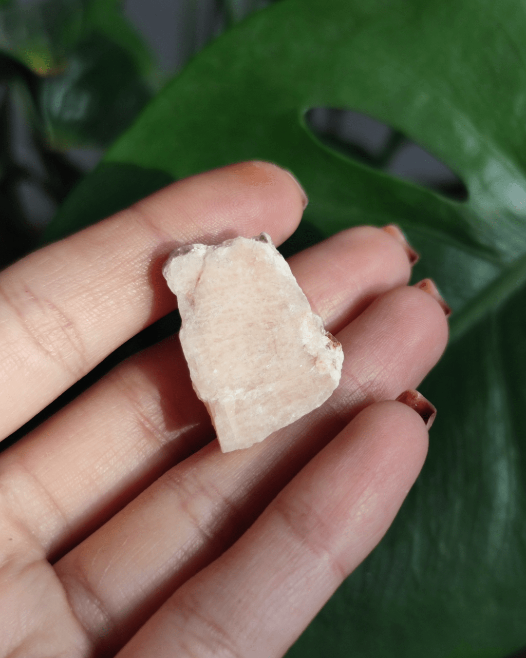 Invest in our Peach Moonstone from our genuine Crystal Collection in Lebanon at Sacred!