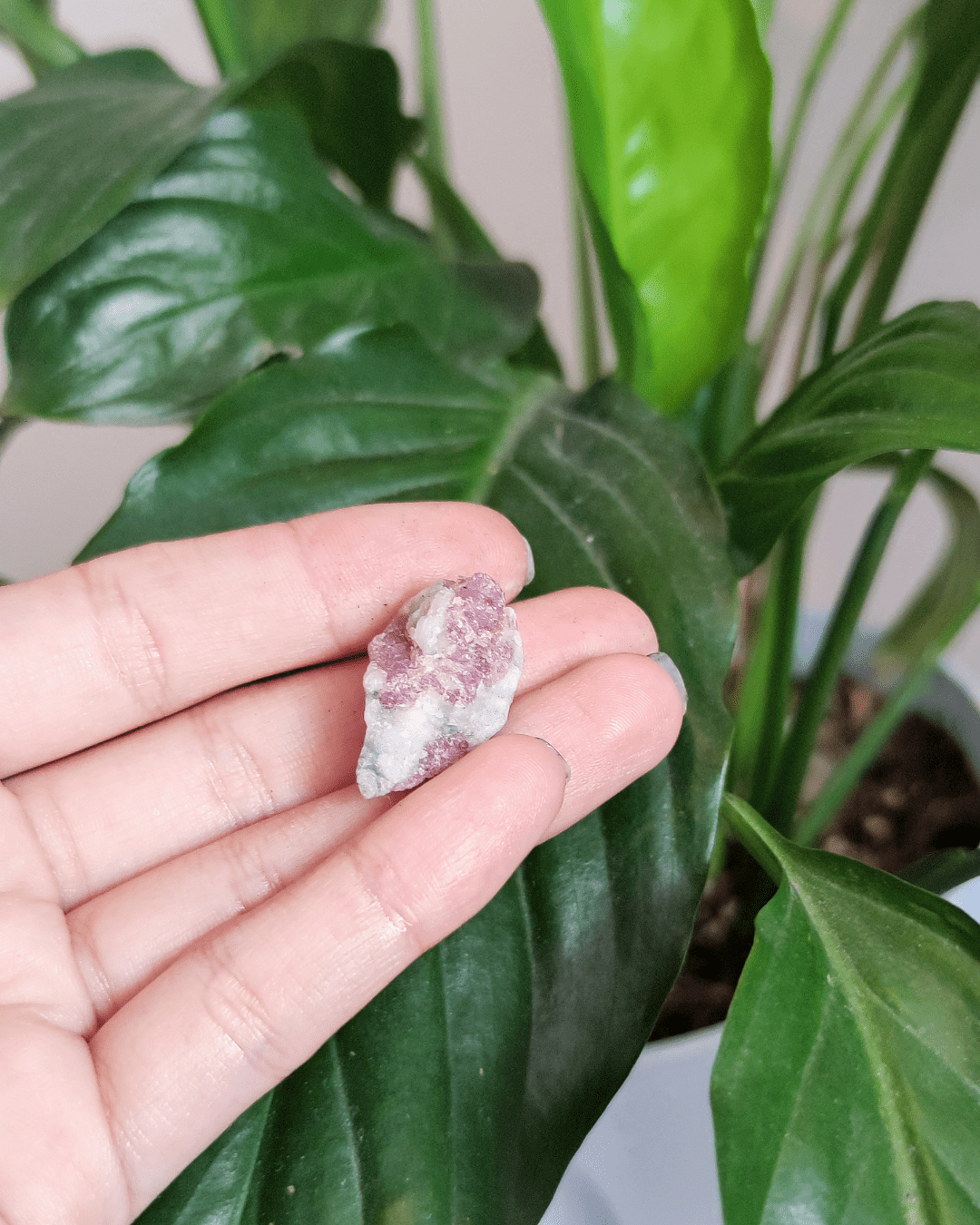 Invest in our Pink Tourmaline • The Stone of Balance from our wide Variety of Natural Crystals in Lebanon at Sacred!