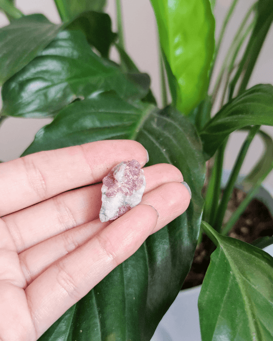 Invest in our Pink Tourmaline • The Stone of Balance from our wide Variety of Natural Crystals in Lebanon at Sacred!