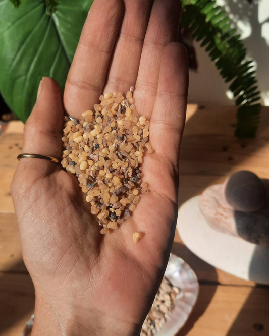 Invest in our Purification Incense Resin Blend in Lebanon at Sacred