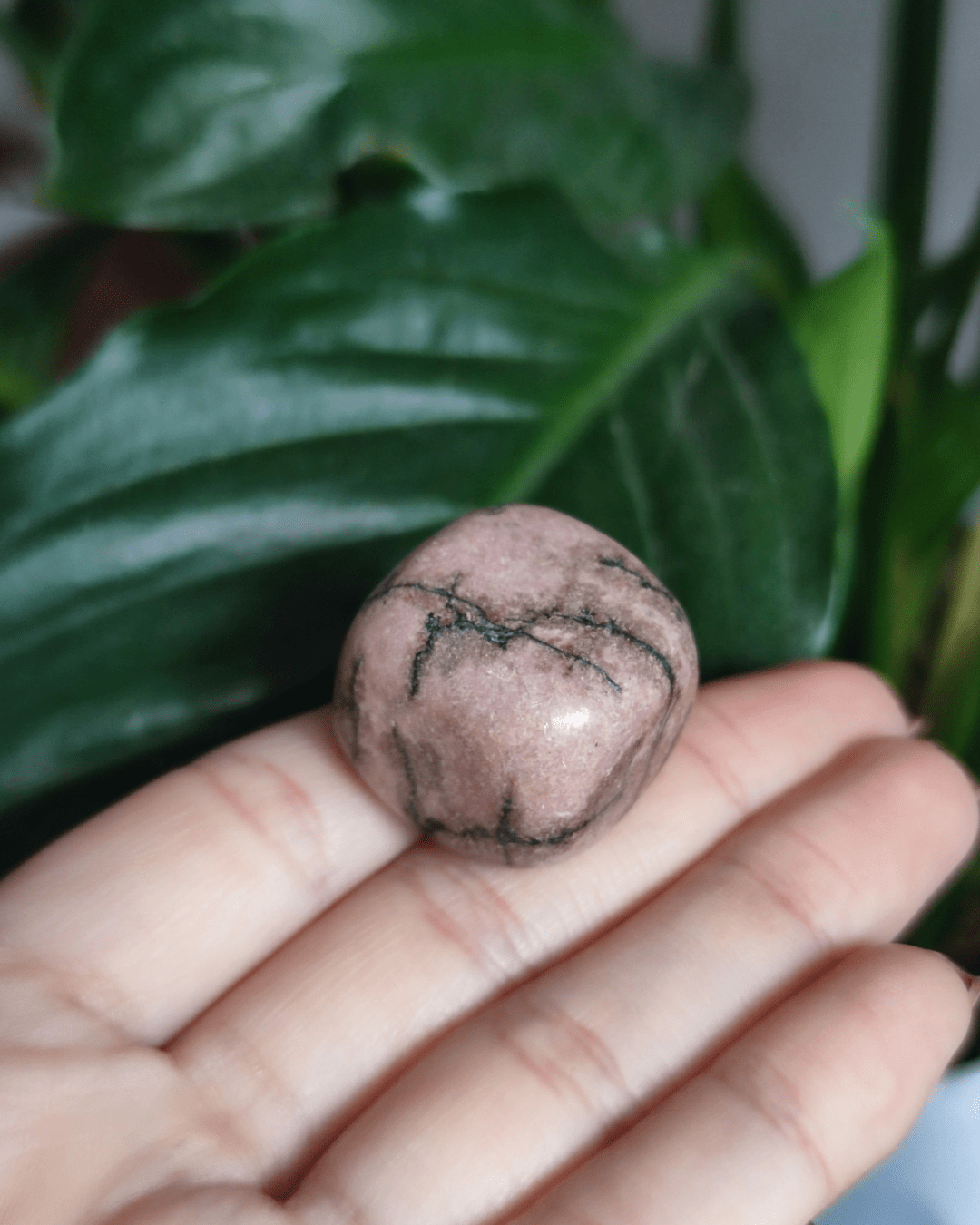 Invest in our Rhodonite • The Stone of Compassion from our genuine Crystal Collection in Lebanon at Sacred!