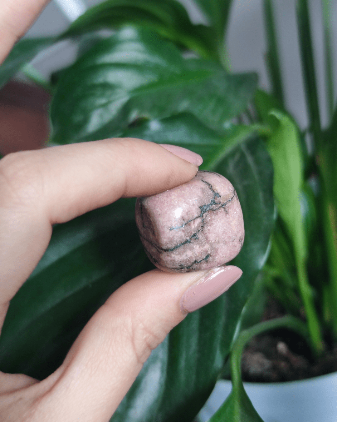 Invest in our Rhodonite • The Stone of Compassion from our genuine Crystal Collection in Lebanon at Sacred!
