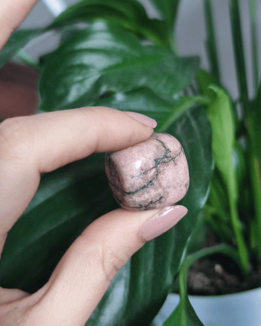 Invest in our Rhodonite • The Stone of Compassion from our genuine Crystal Collection in Lebanon at Sacred!