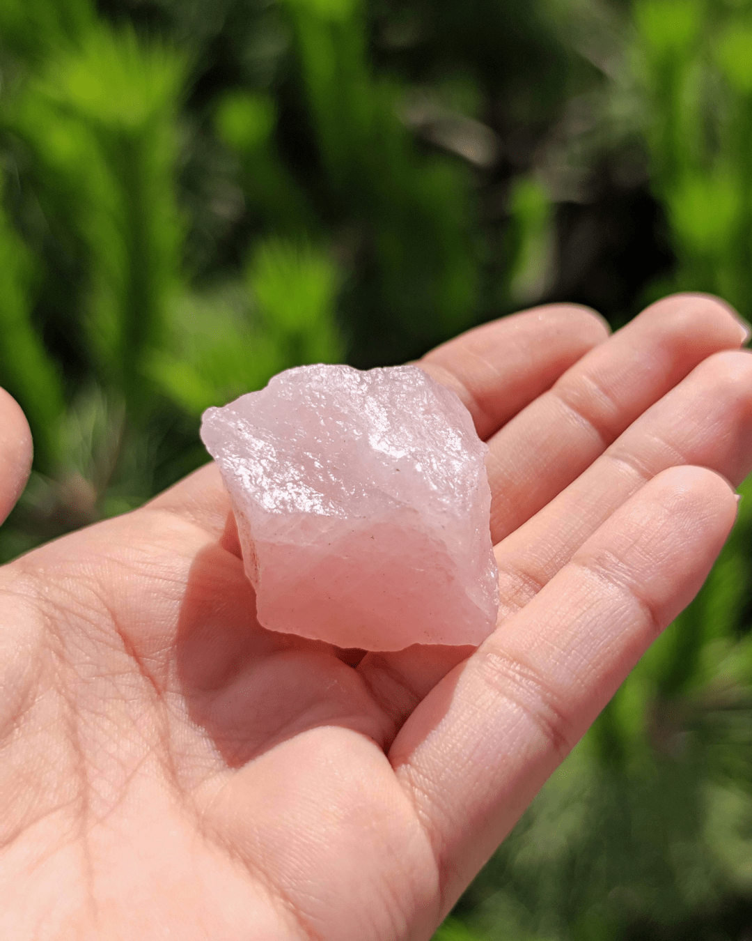 Rose Quartz - Sacred