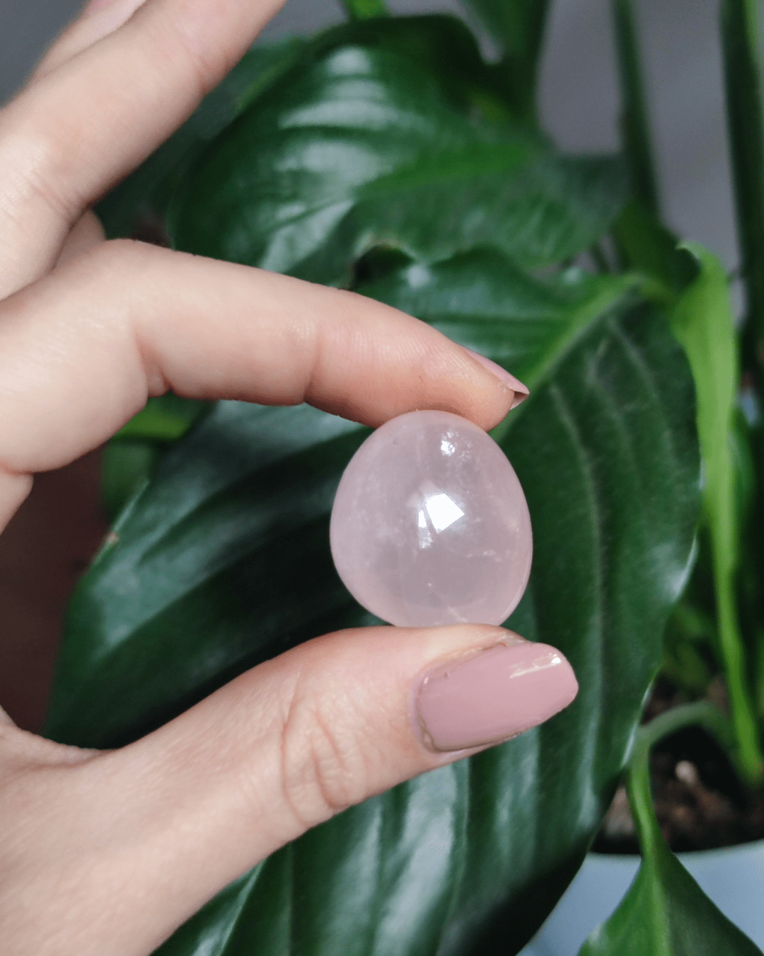 Invest in our Rose Quartz Crystal • The Stone of Compassion from our genuine Crystal Collection in Lebanon at Sacred!