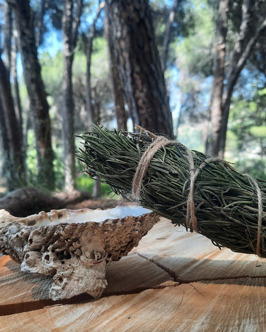 Invest in our Rosemary Smudge in Lebanon at Sacred