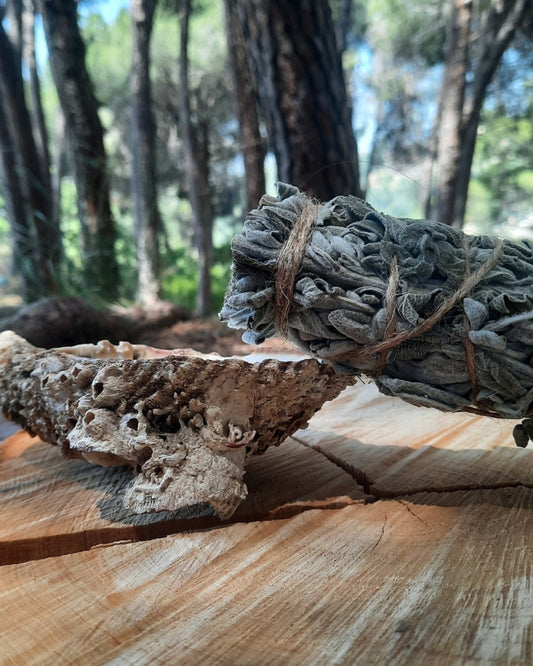 Invest in our Sage Smudge in Lebanon at Sacred