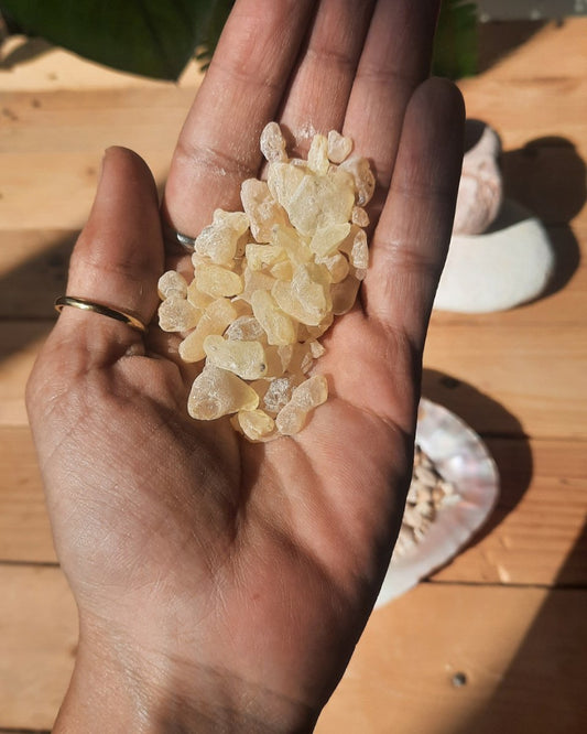 Invest in our Sandarac Incense Resin in Lebanon at Sacred