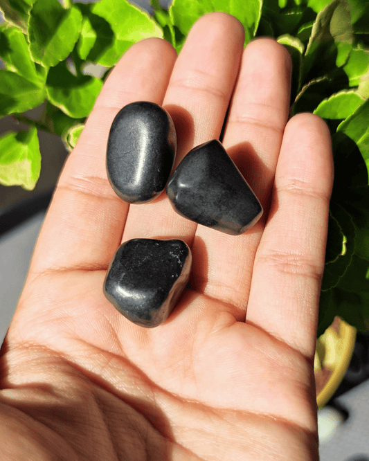Shungite - Sacred