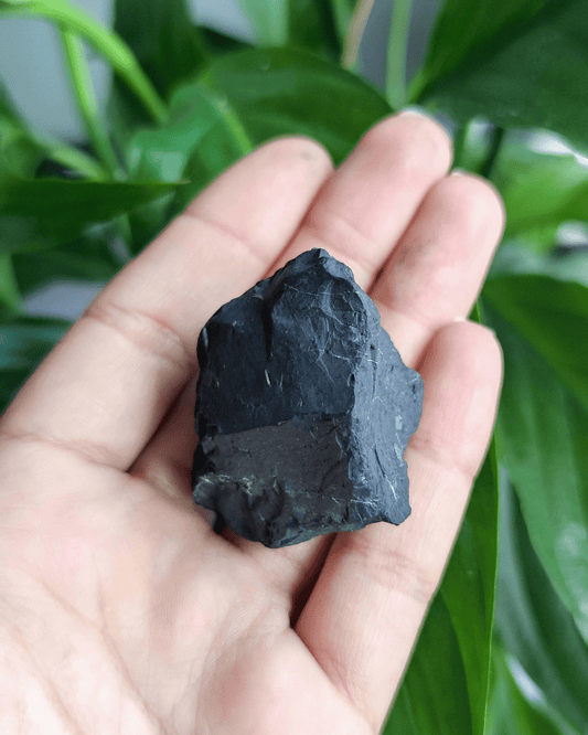 Shungite - Sacred