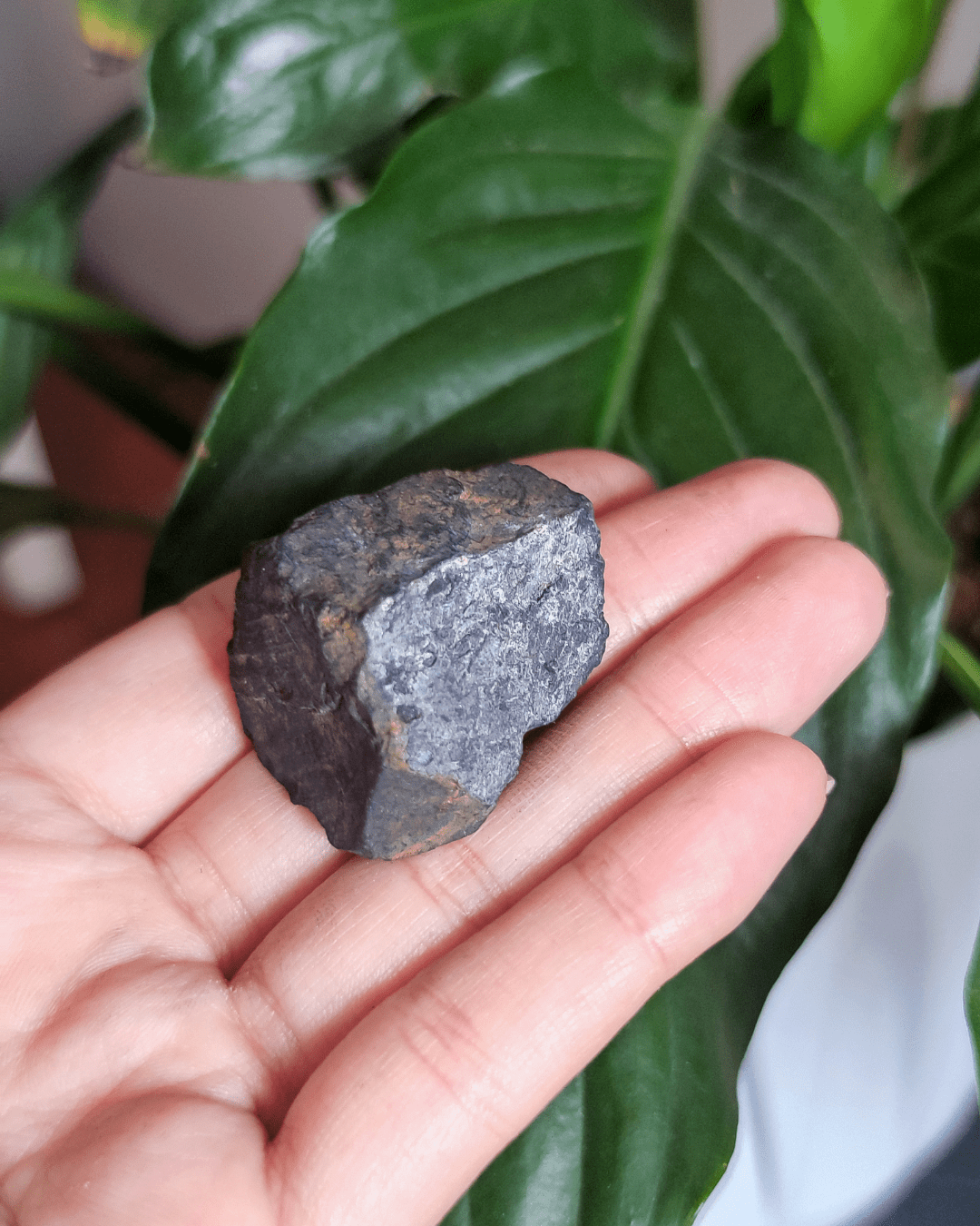 Shungite • The Stone of Detoxification in Lebanon at Sacred