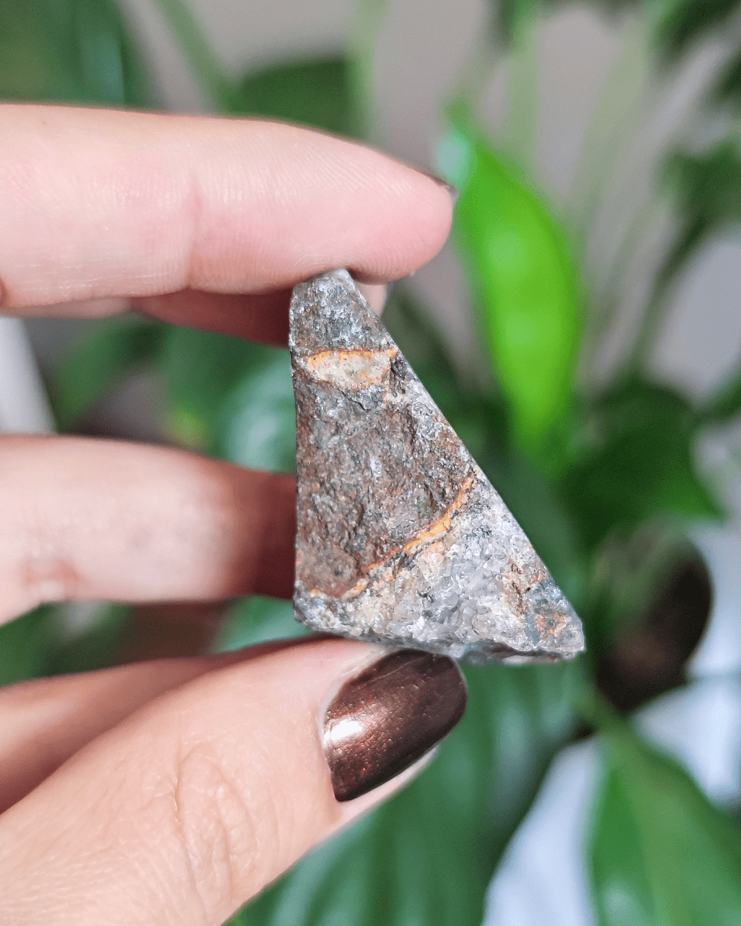 Shungite • The Stone of Detoxification in Lebanon at Sacred
