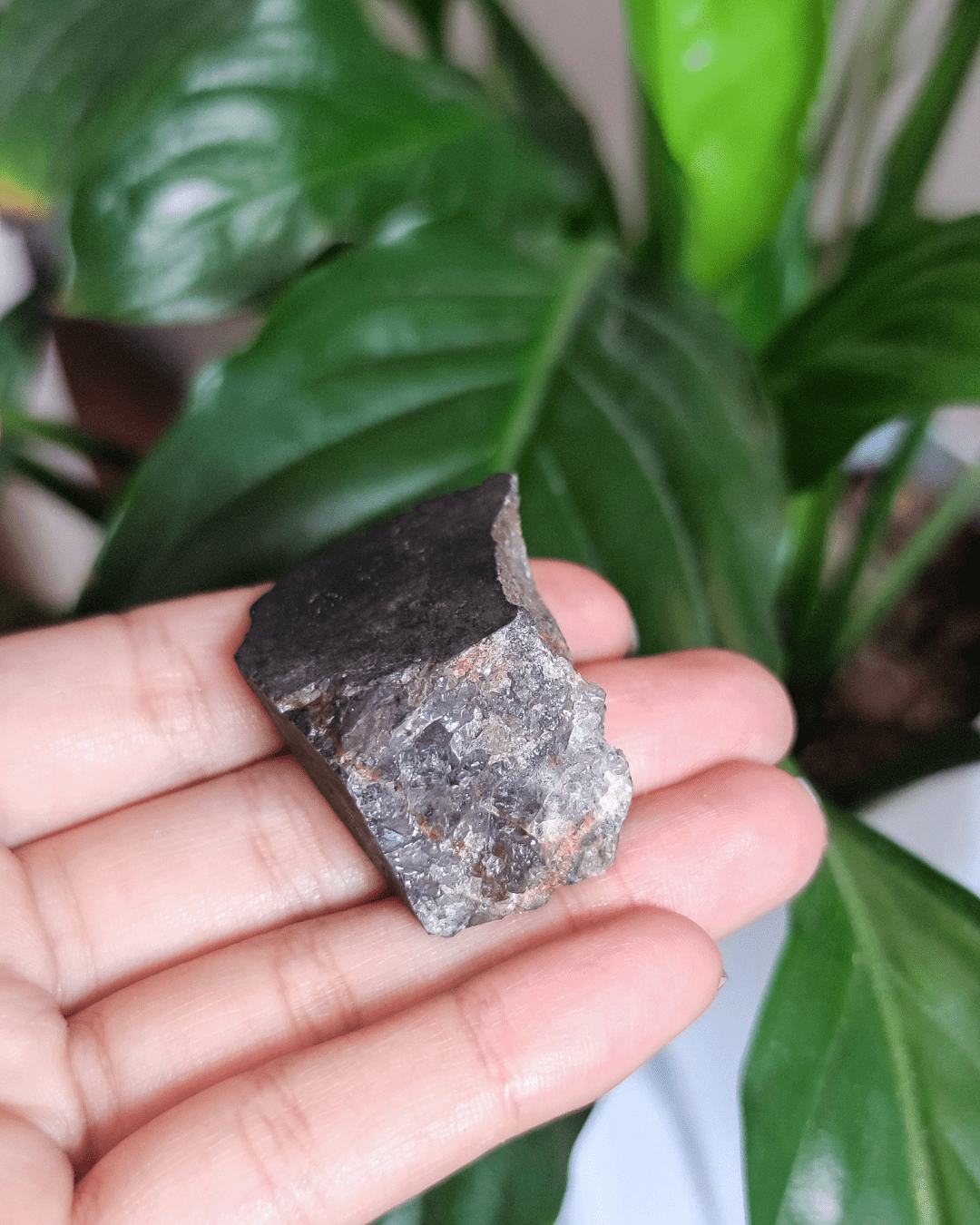 Shungite • The Stone of Detoxification in Lebanon at Sacred