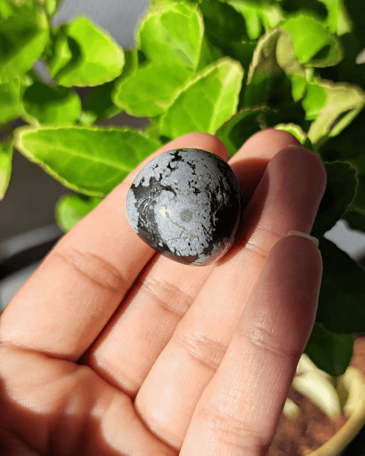 Snowflake Obsidian - Sacred