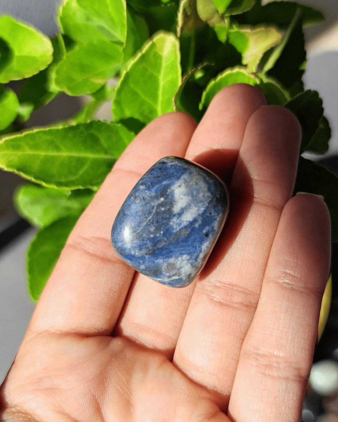 Sodalite - Sacred