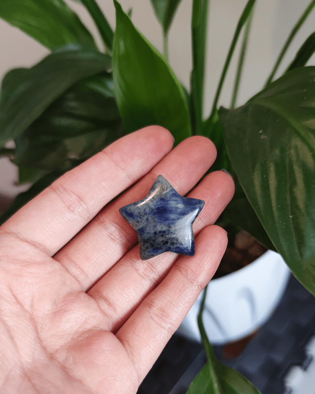Sodalite • The Stone of Truth & Calm in Lebanon at Sacred