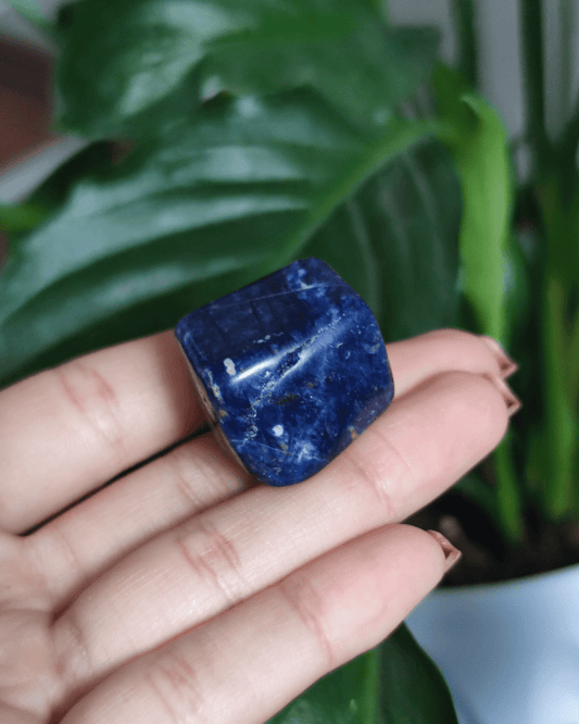 Sodalite • The Stone of Truth & Calm in Lebanon at Sacred