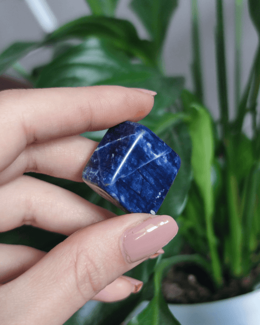 Sodalite • The Stone of Truth & Calm in Lebanon at Sacred