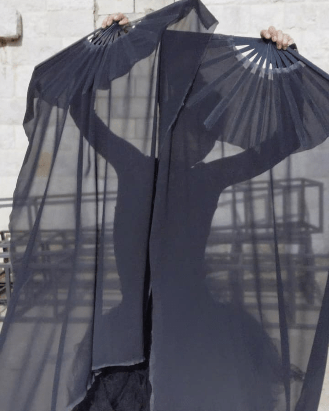 Swan Noir - Veil Fan - Sacred