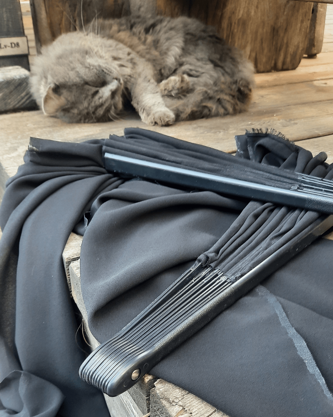 Swan Noir - Veil Fan - Sacred