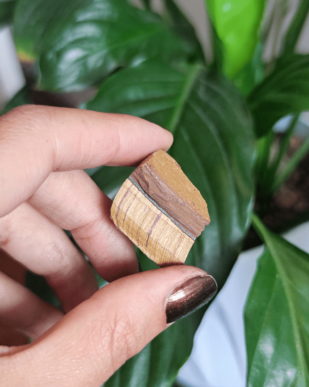 Tiger Eye • The Stone of Strength in Lebanon at Sacred