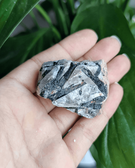 Tourmalinated Quartz - Sacred