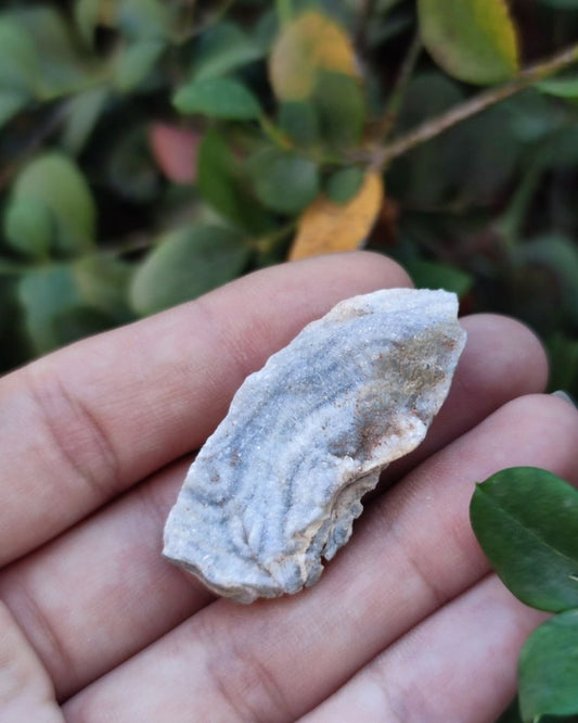 Invest in our Blue Lace Druzy Agate in Lebanon at Sacred