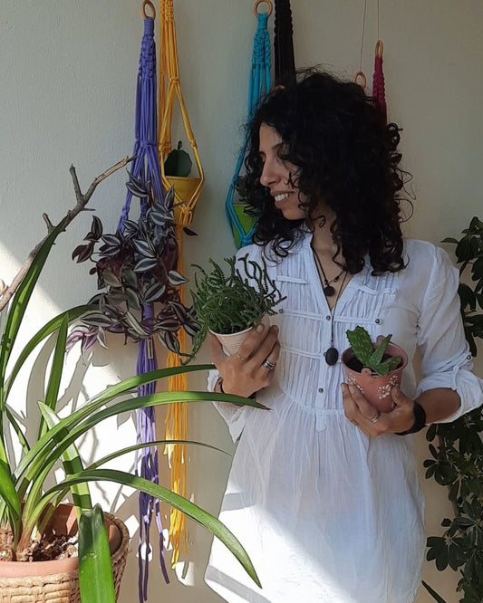 Invest in our Colorful Plant Hangers in Lebanon at Sacred