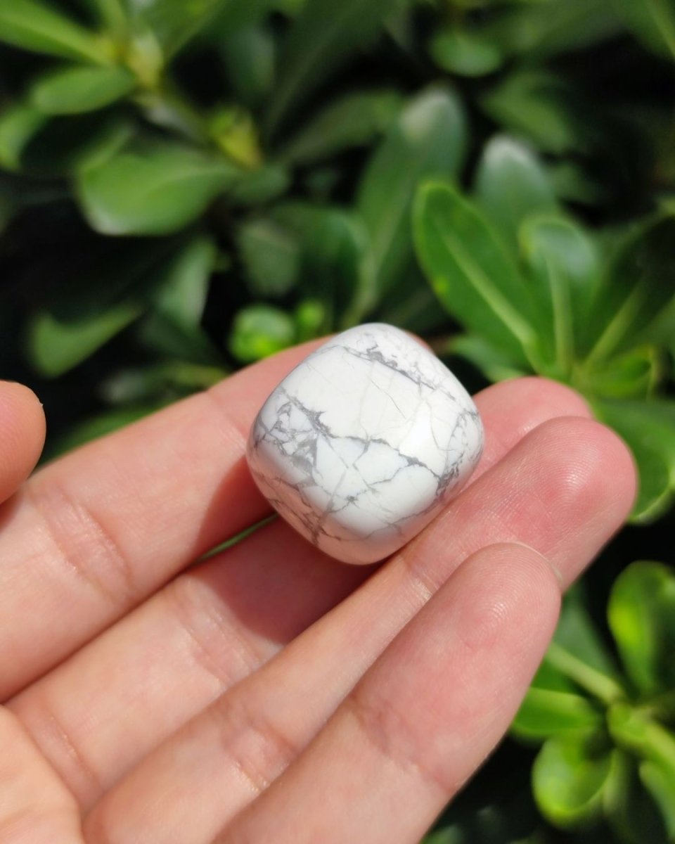 Invest in our Howlite in Lebanon at Sacred