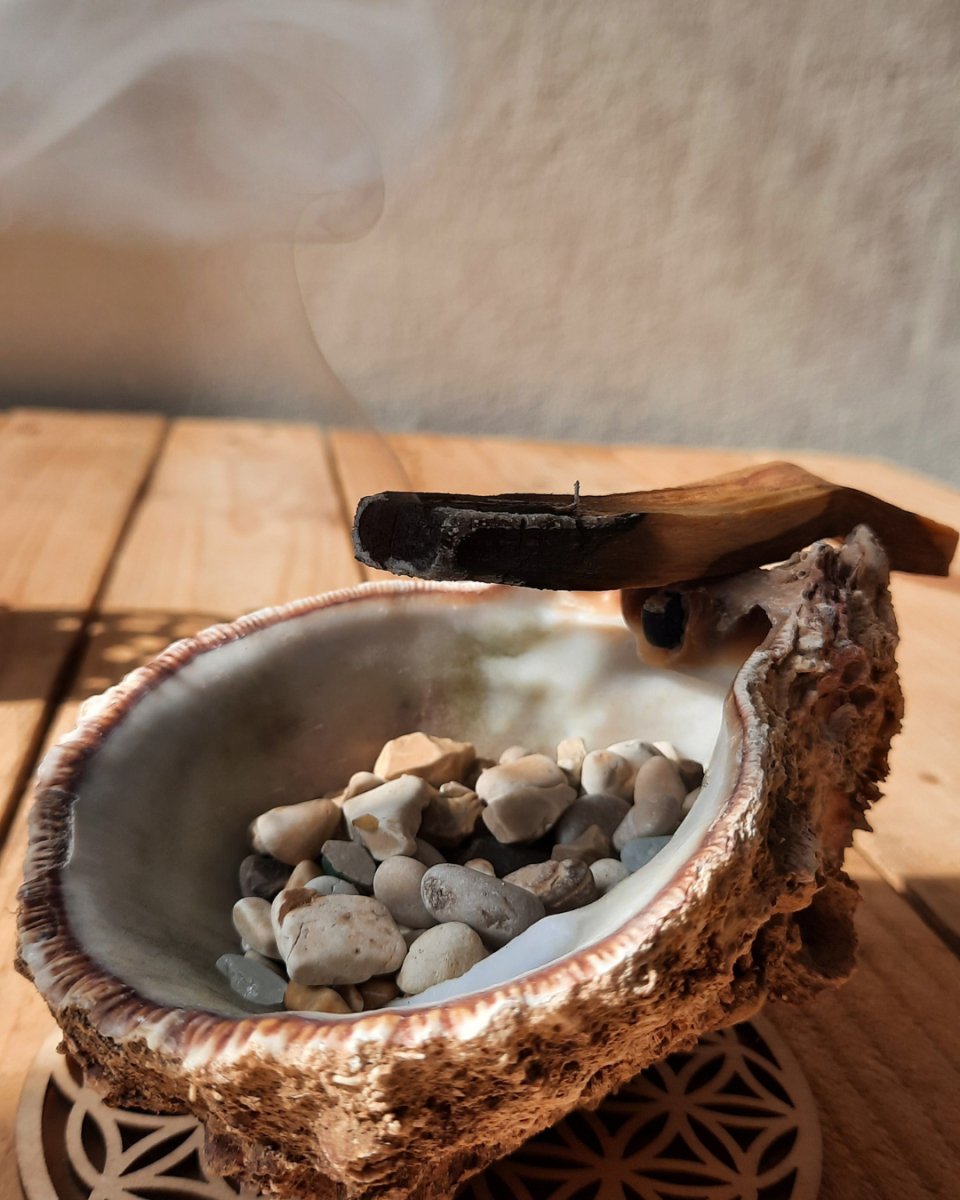 Invest in our Palo Santo in Lebanon at Sacred